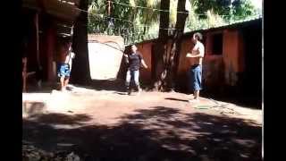 Gato que avanza Perro que ladra - Calle 13