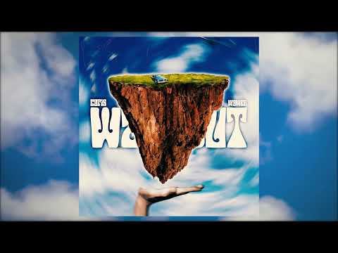 Capis x Wawer - waveout