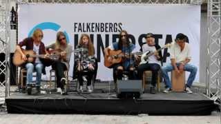 Damn Delicious - Skylight Acoustic Live Feat. Emma Karlsson