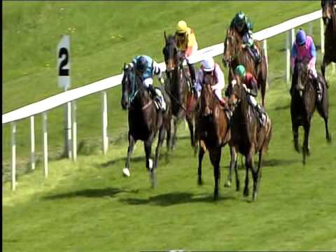 Galopprennbahn Dresden - 07.05.2016 - 3.Rennen