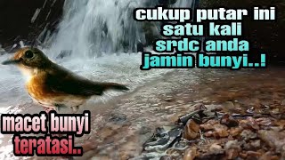 Download lagu terapi srdc agar cepat bunyi, terapi srdc macet bunyi, terapi srdc gemericik air, terapi srdc pagi mp3