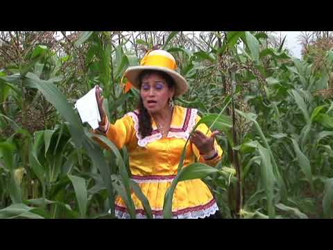 Amanecer Ancashino - Luz Blanca Perez