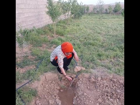 Mahnaz and the magic Garden!watering vegetables with Love.How to water your vegetables Best?with me.