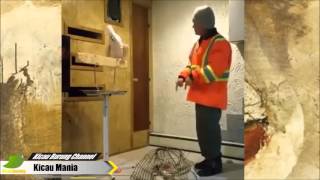 Burung Kakak Tua Ini Marah Ke Orang Yang Merusak Sangkarnya