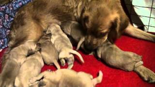 20151221 Nine days old