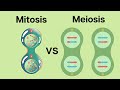 How Is Meiosis Different Than Mitosis