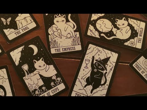 An urgent reading from Monsieur Christian for you!