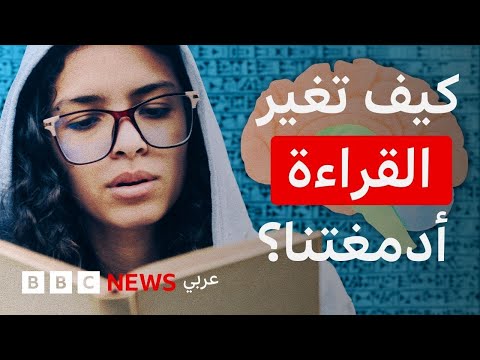 فيديو | في اليوم العالمي للغة العربية، كيف يتعامل دماغنا مع القراءة، هل نولد ونقرأ بالفطرة؟