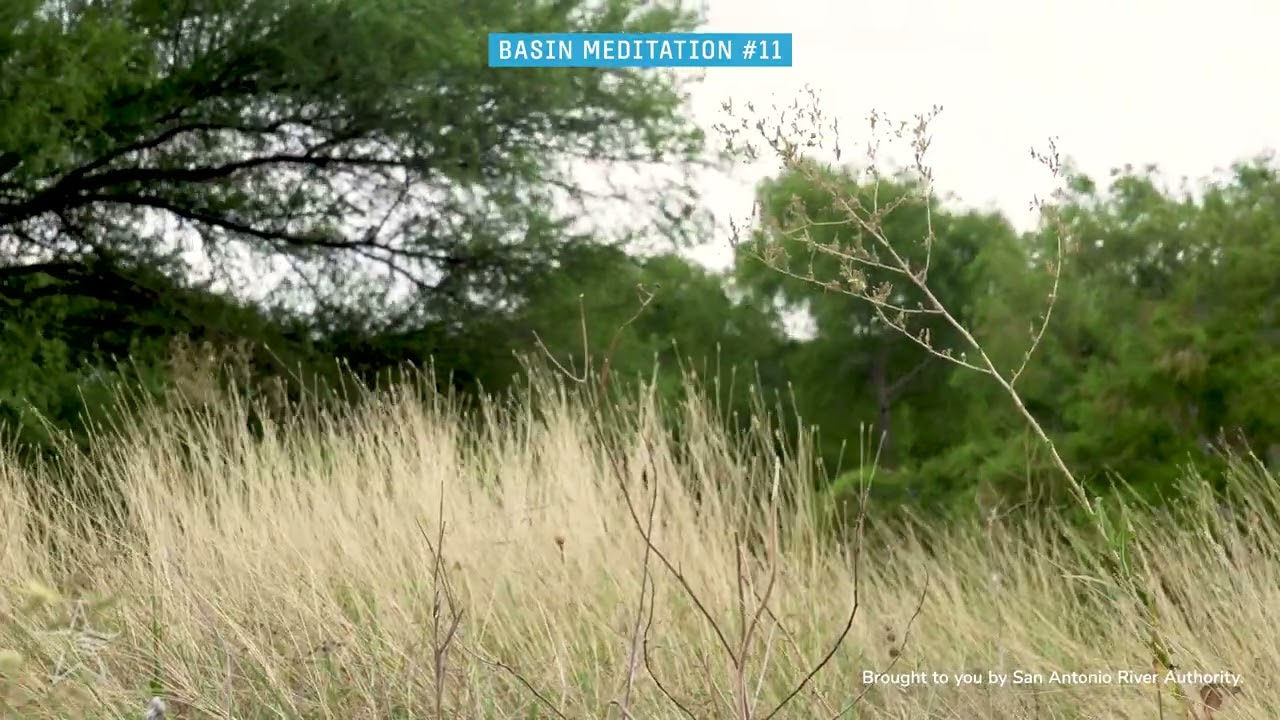 Gentle Winds and Tall Grass  - Basin Meditation at Mission San Jose