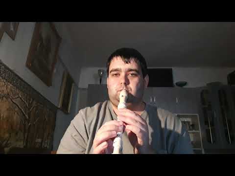 Sárközi Róbert - Megjött a Mikulás recorder cover