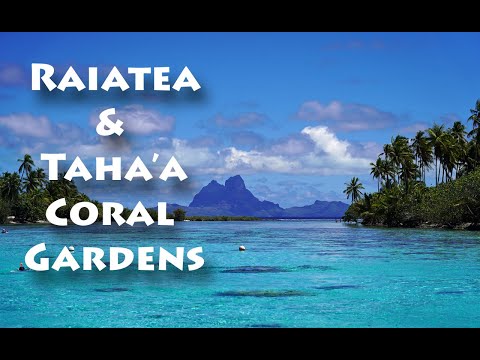 Raiatea & Taha'a Coral Gardens - French Polynesia