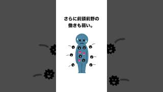 ADHDは時間感覚がバグってる【雑学】ADHD/HSPの生存戦略