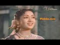 Aakasa Veedhilo