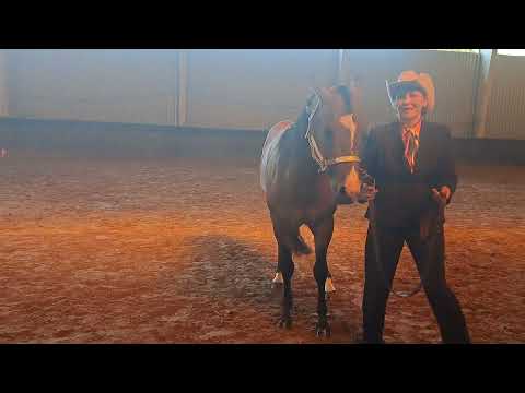 apha pac e show Jun 23 SMS Merlin dd gunners