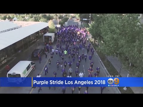 download lagu mp3 mp4 Purple Stride, download lagu Purple Stride gratis, unduh video klip Purple Stride