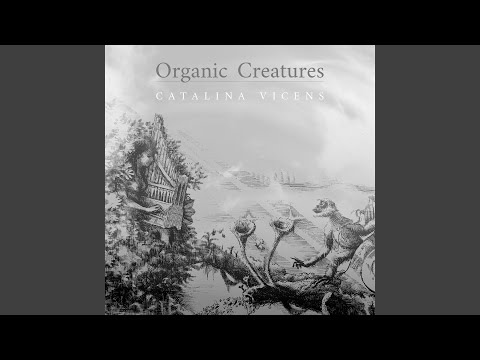 Unicornis Captivatur