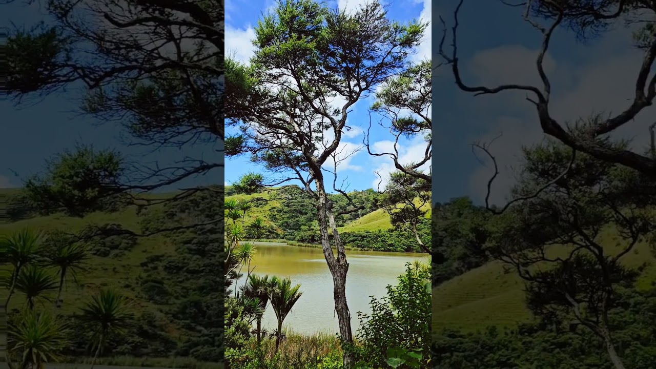 YouTube Short thumbnail