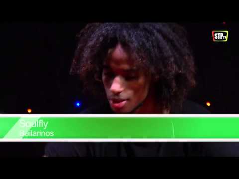 STPtv Music - SoulFly