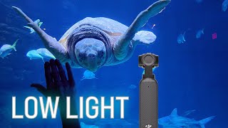 DJI Osmo Pocket 3 | LOW LIGHT Footage Samples