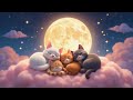 Dreamy Night With Four Cats L Four Little Dreamy Cats Lullaby Song For Kids