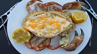 Cómo cocer y preparar un buey de mar, Saca el Cucharón