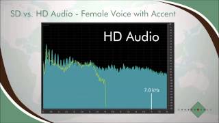 C-Meeting YouTube Video