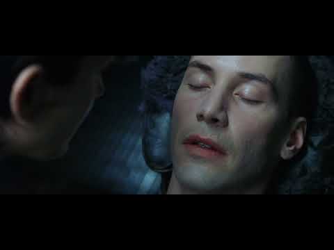 分125 Trinity hat keine Angst mehr