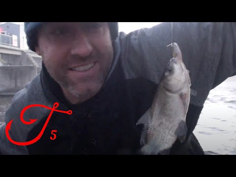 Fishing for Black Buffalo - Quest 5 of 50