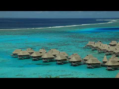 Experience Ultimate Luxury: Overwater Bungalows in French Polynesia!