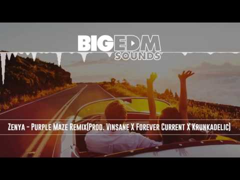 [Future House] Zenya - Purple Maze Remix (Prod. Vinsane X Forever Current X Krunkadelic)