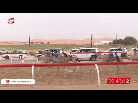  ش 6 (شرط) لـ سعيد محمد بن قعرور 2:12 , شارة الصندوق 2026/04/11 فطامين الساد
