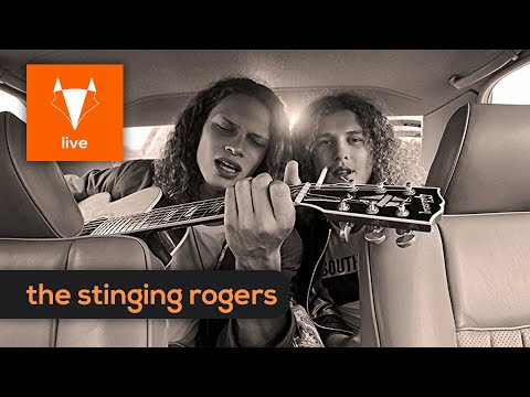 Fox Lounge Live #2 - The Stinging Rogers