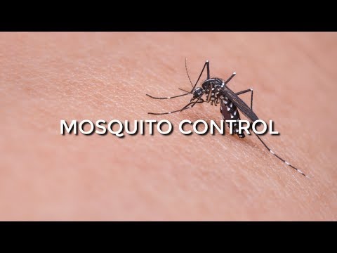 MOSQUITO CONTROL FOR PONDS 101