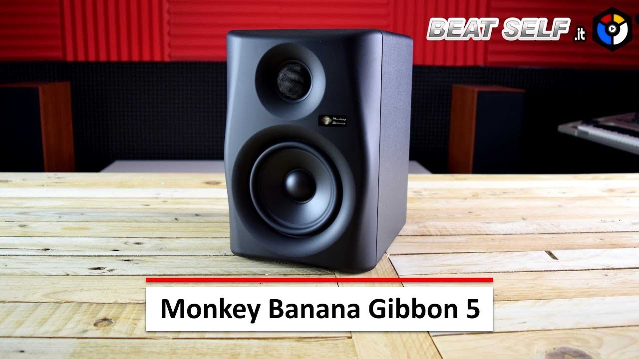 video Loa kiểm âm Monkey Banana Gibbon 5 Black chính hãng 0