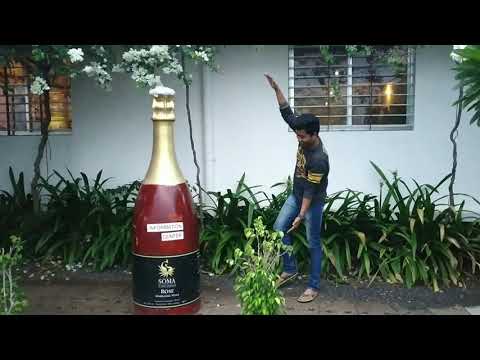 download lagu mp3 mp4 Flamingo Wines Nashik, download lagu Flamingo Wines Nashik gratis, unduh video klip Flamingo Wines Nashik