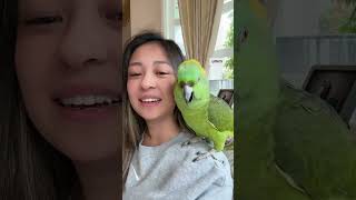 Download lagu Disuruh Minta Maaf | Pura-Pura Nangis mp3