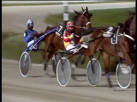 Trotto 16/11/2018 - 7ª corsa