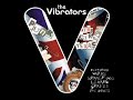 You broke my heart - The Vibrators