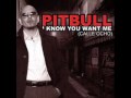Pit Bull- I Know You Want Me 