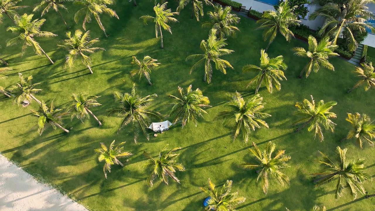 Nhiếp ảnh (Photographer) - Chụp ảnh dịch vụ, sự kiện, chân dung, sản phẩm, đồ ăn... - 2