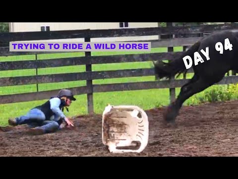 Trying to Ride my Mustang!?!? - Extreme Mustang Makeover 2020