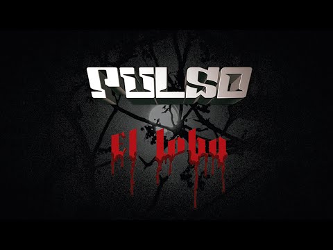 Video de la banda Pulso