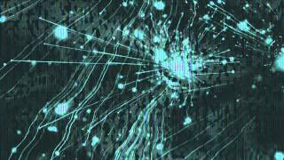 When I was yesterday (VIDEOCLIP) - The Brian Jonestown Massacre