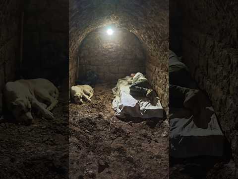 No Talking, Just Nature, Solo Camping in an Abandoned Mountain Church with My Dog 🐾