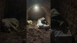 Download lagu No Talking, Just Nature, Solo Camping in an Abandoned Mountain Church with My Dog 🐾 mp3 Download lagu No Talking, Just Nature, Solo Camping in an Abandoned Mountain Church with My Dog 🐾 mp3