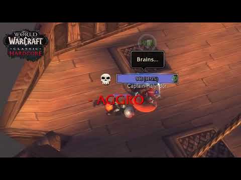 World of Warcraft Classic Hardcore - Rogeranok Warrior Tank - GM vs Piratas del Caribe
