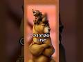 Você Sabia Que O Filme O Irmão Urso