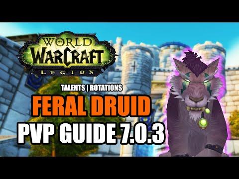 WoW Legion 7.0.3: Feral Druid PvP Guide - Talents, Rotations, How to Do Damage [World of Warcraft]