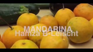 2Kilo Mandarina (MIAMIYACINE -KOKIANA PARODIE) HD