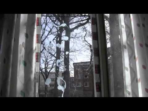 Stenen som skadade Cyrus spelare